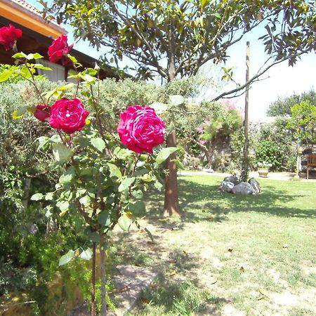 Hosteria Las Fuentes Rubayo Εξωτερικό φωτογραφία
